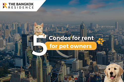 What to do if you want to live in a condo with pets?