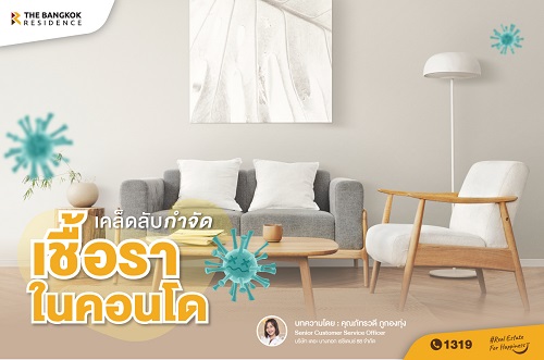 เคล็ดลับการกำจัดเชื้อราในคอนโด