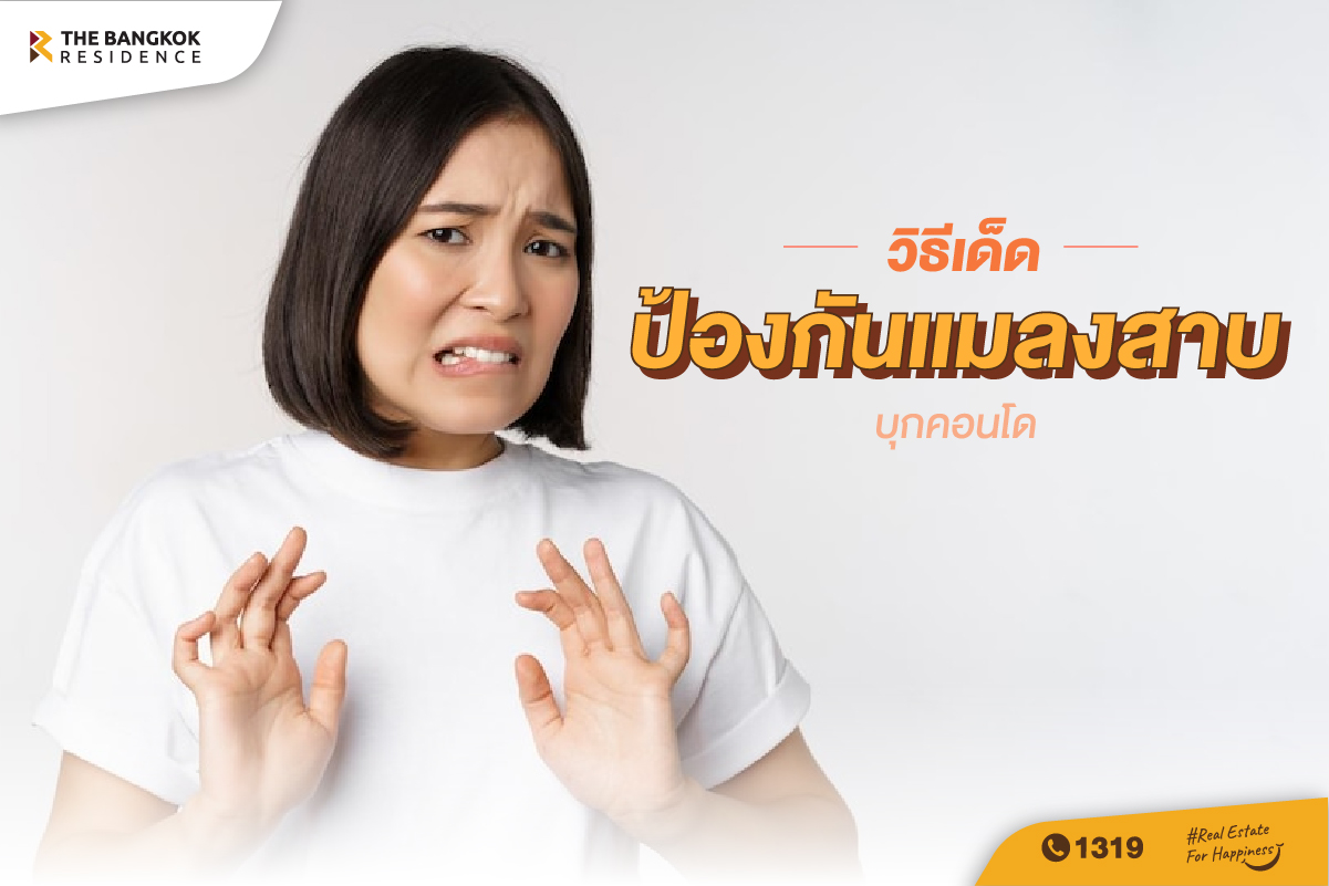 6 วิธีเด็ด กำจัดแมลงสาบ ในคอนโด 